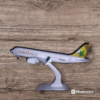 Air Sial Airline Model 20 cm Metal Airplane Model with wheels Aircraft Model for  office and home decoration and travels agency - Image 3