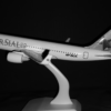 Air Sial Airline Model 20 cm Metal Airplane Model with wheels Aircraft Model for  office and home decoration and travels agency - Image 2